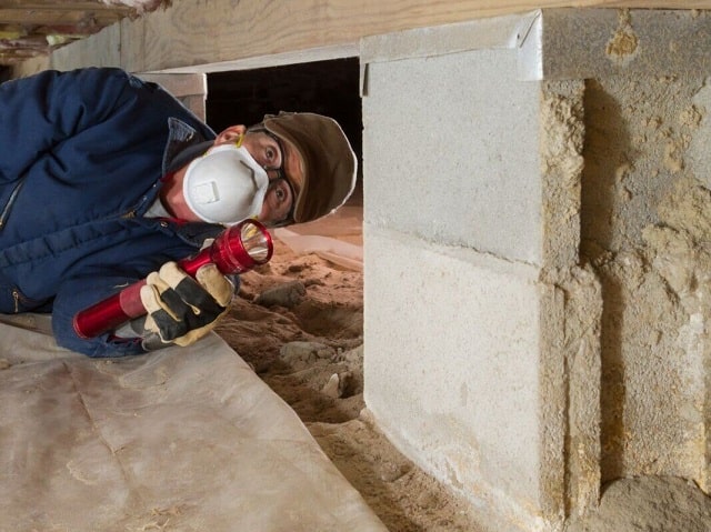 Mối mọt rất thích tấn công các công trình và đồ nội thất